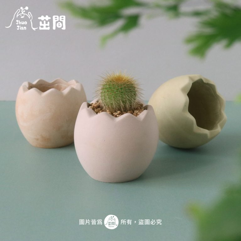 多肉仙人交易所