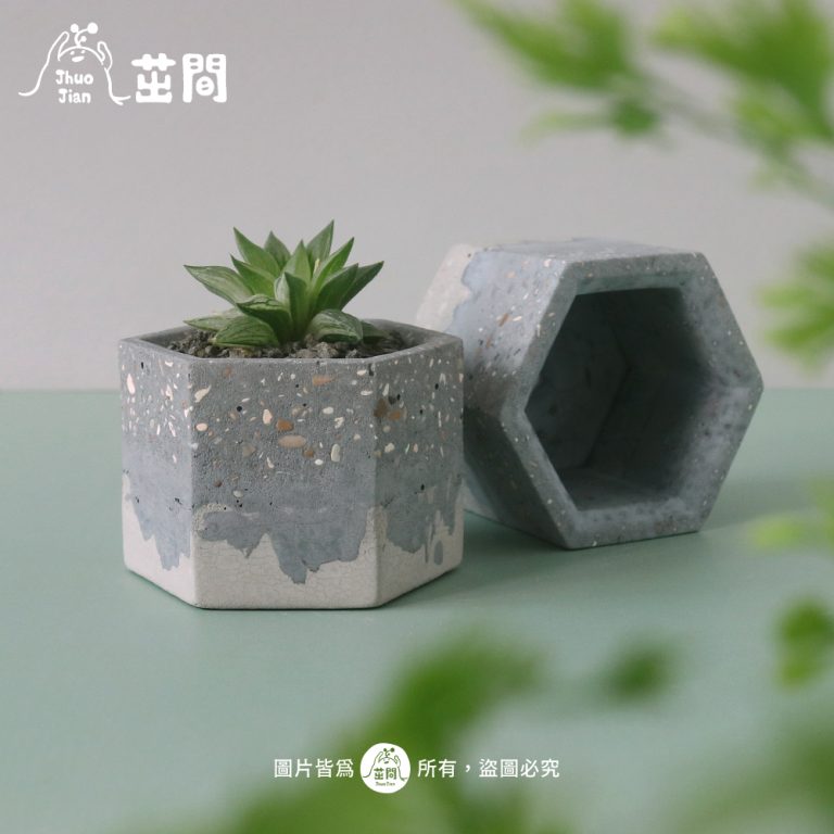 多肉仙人交易所