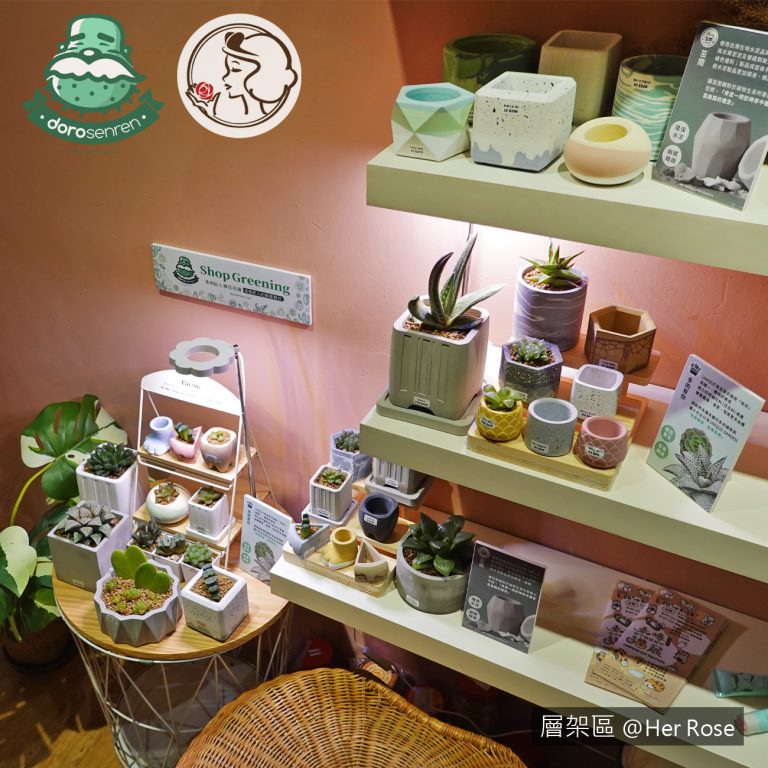 多肉仙人交易所