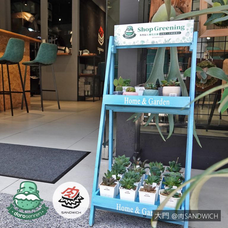 多肉仙人交易所