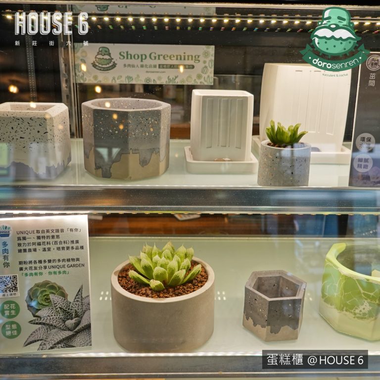 多肉仙人交易所