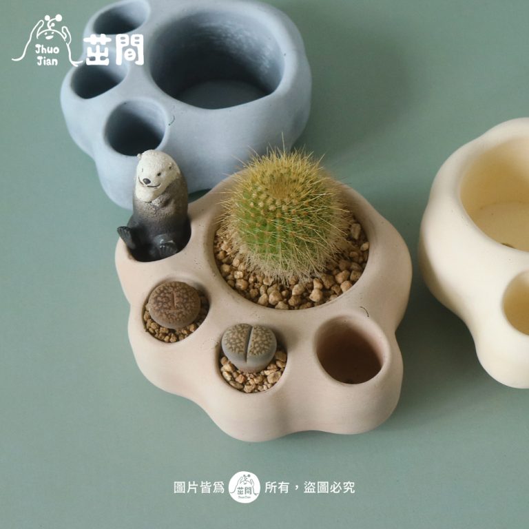 多肉仙人交易所