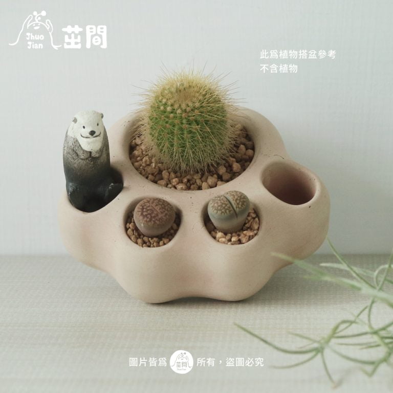 多肉仙人交易所