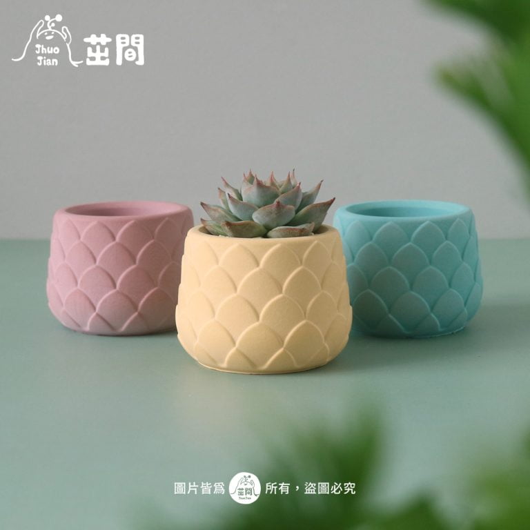 多肉仙人交易所