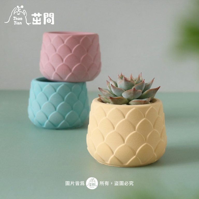 多肉仙人交易所