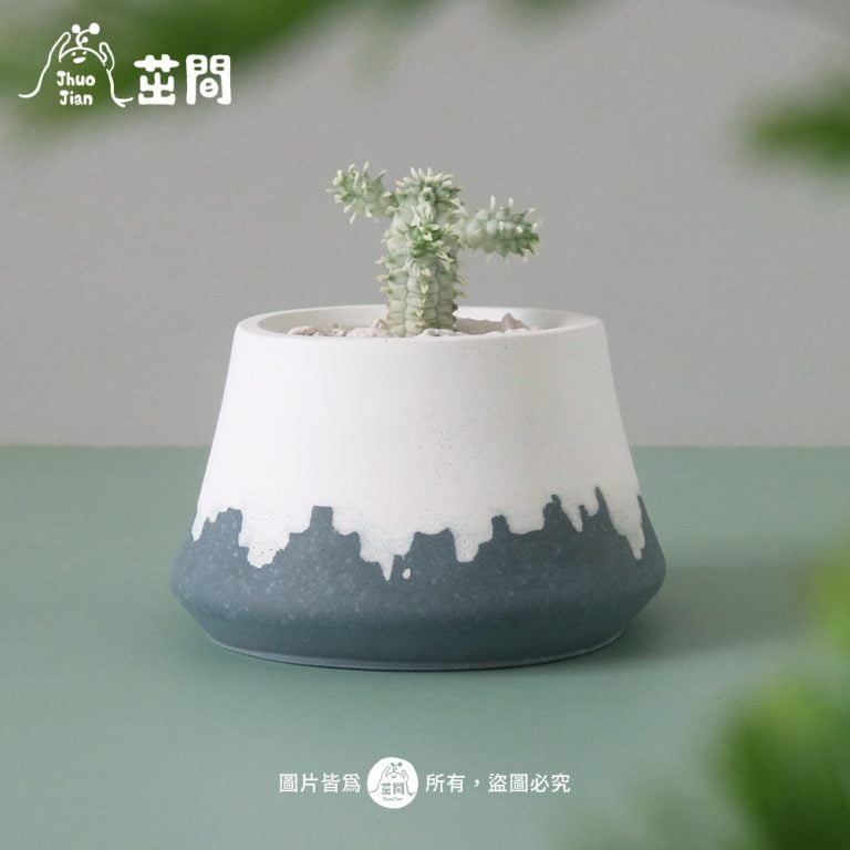 多肉仙人交易所