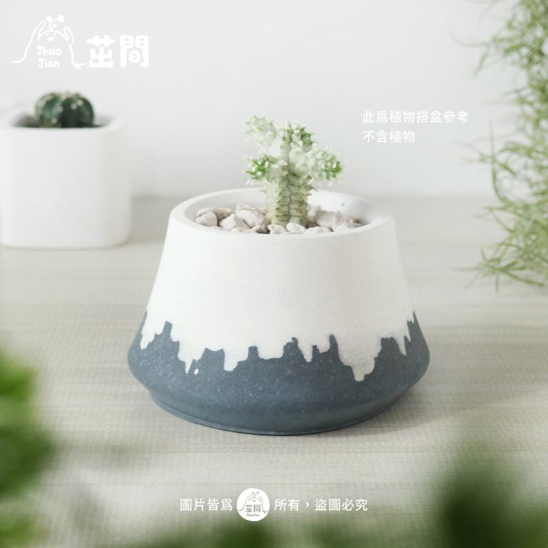 多肉仙人交易所