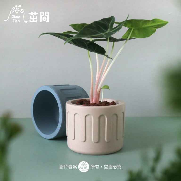 多肉仙人交易所