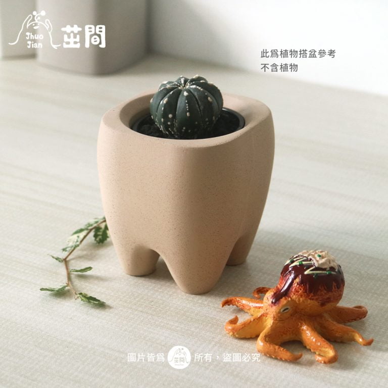 多肉仙人交易所