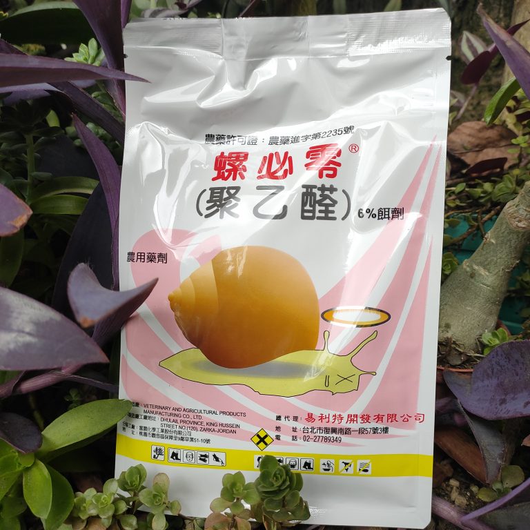 多肉仙人交易所