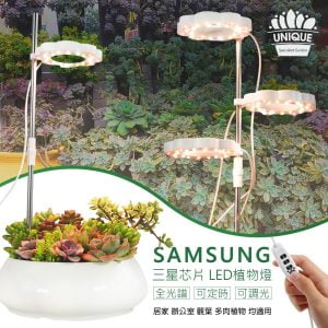 TO001-三星植物燈-01