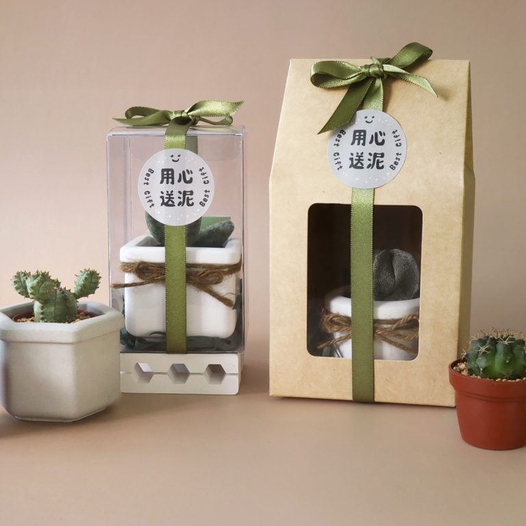 多肉仙人交易所