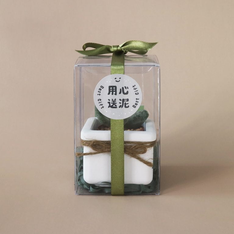 多肉仙人交易所