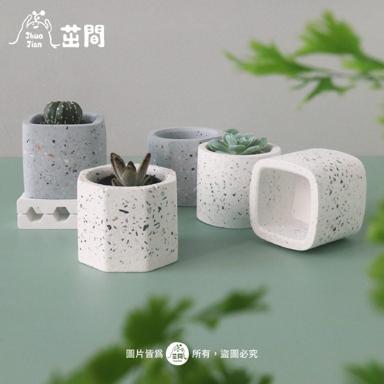 多肉仙人交易所