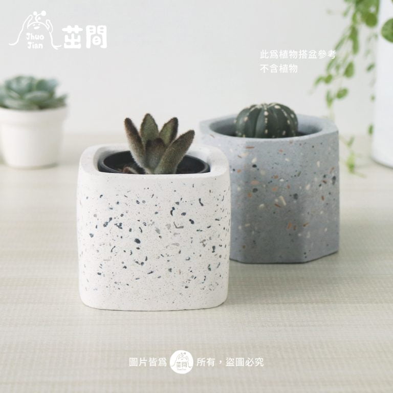 多肉仙人交易所