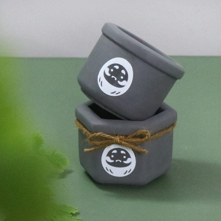 多肉仙人交易所