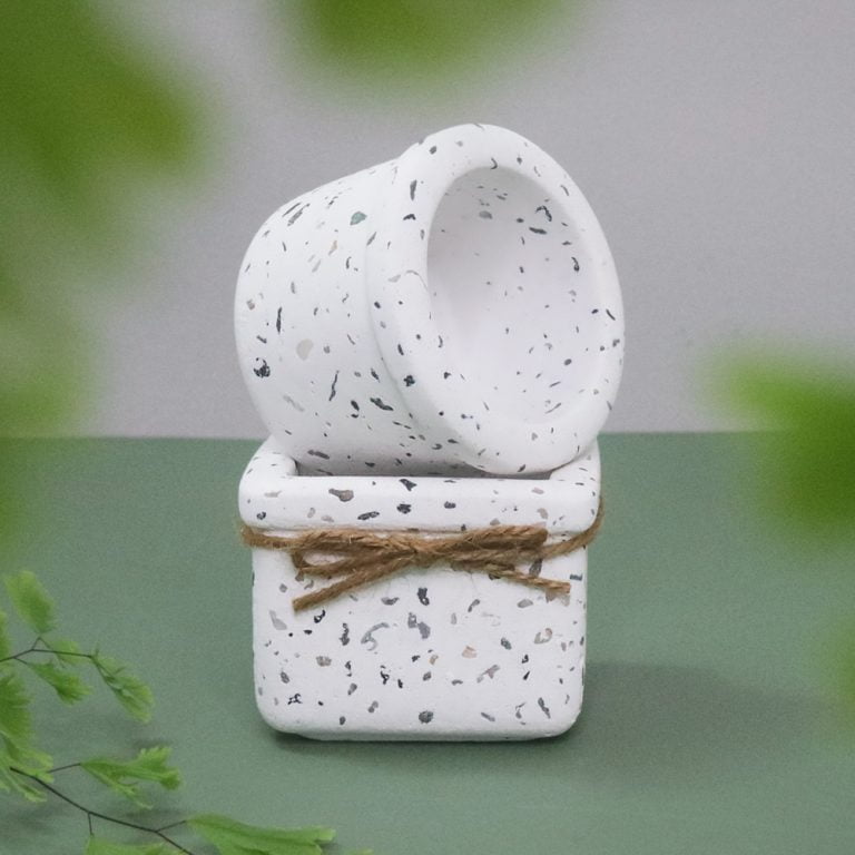 多肉仙人交易所