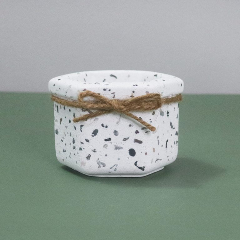 多肉仙人交易所