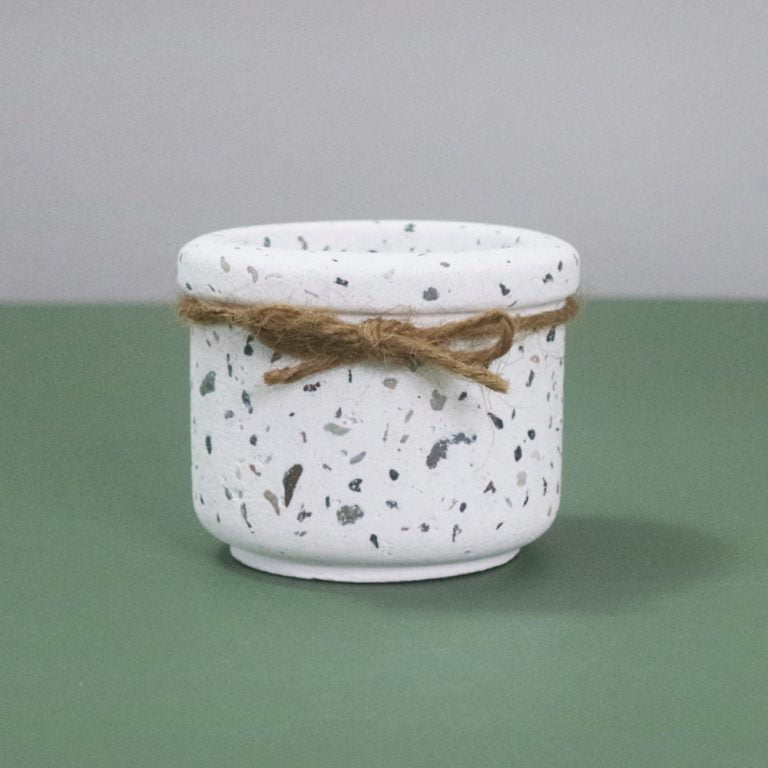 多肉仙人交易所