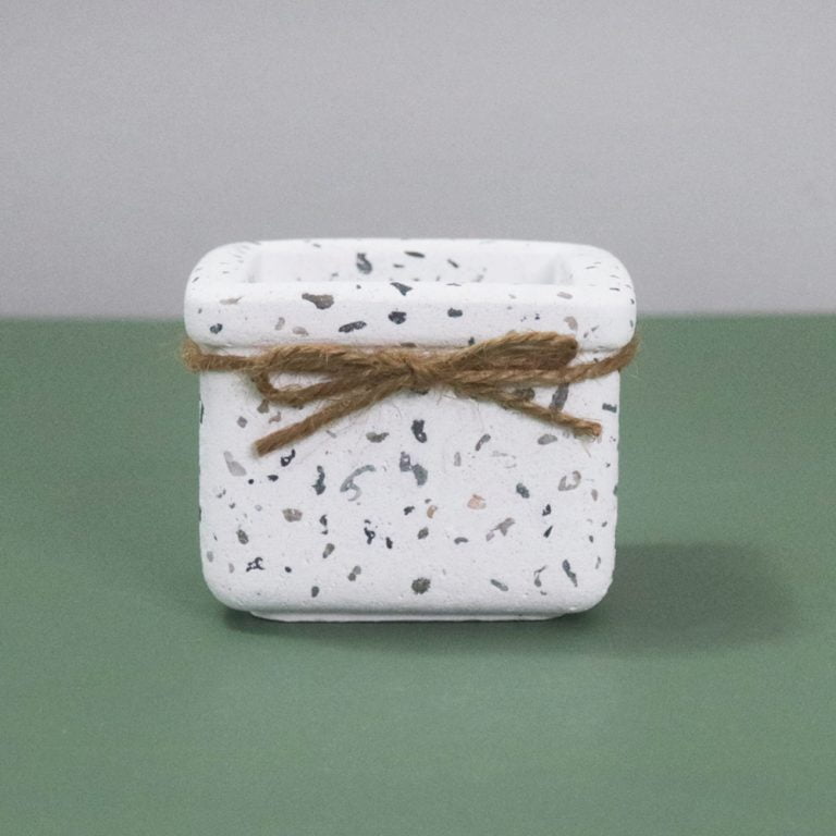 多肉仙人交易所